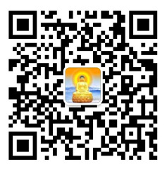 91视频网站大全