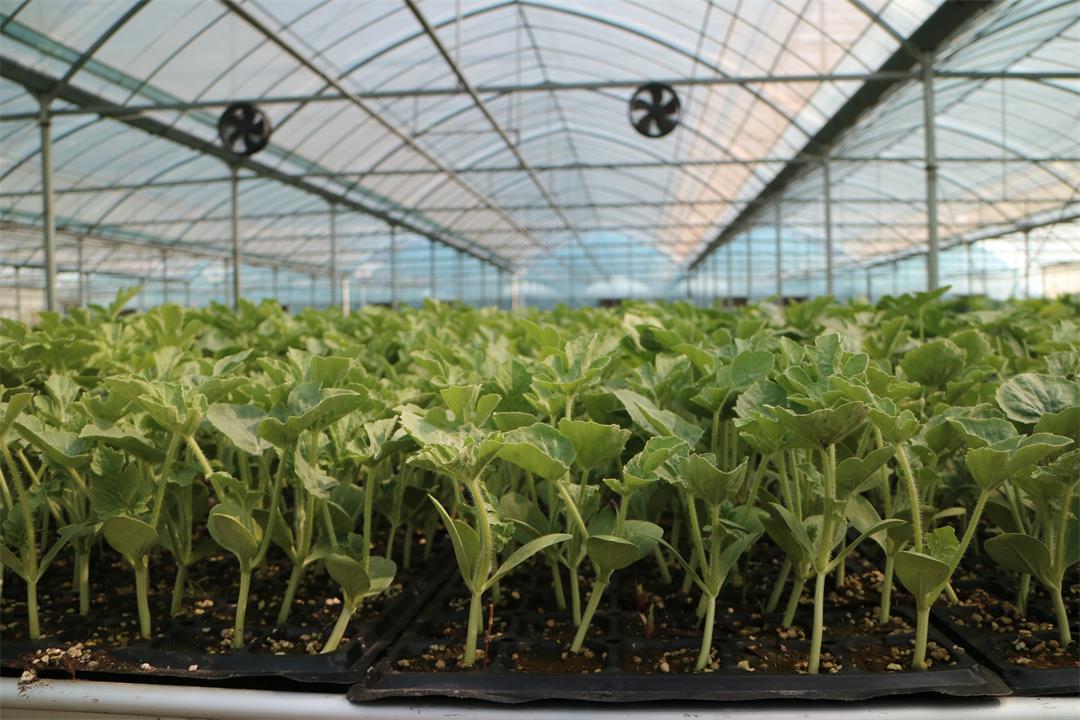 1627784745825115.jpg 1627784745825115.jpg