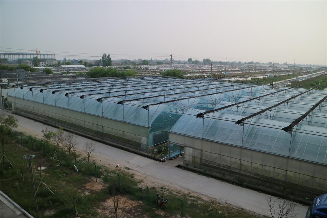 1627784861223219.jpg 1627784861223219.jpg