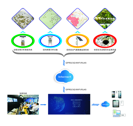 1629105432993830.png 1629105432993830.png