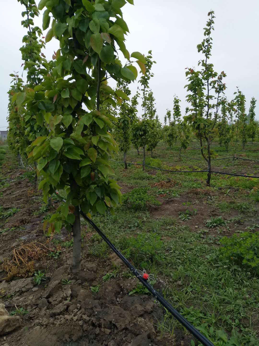 国产91视频网站地址案例