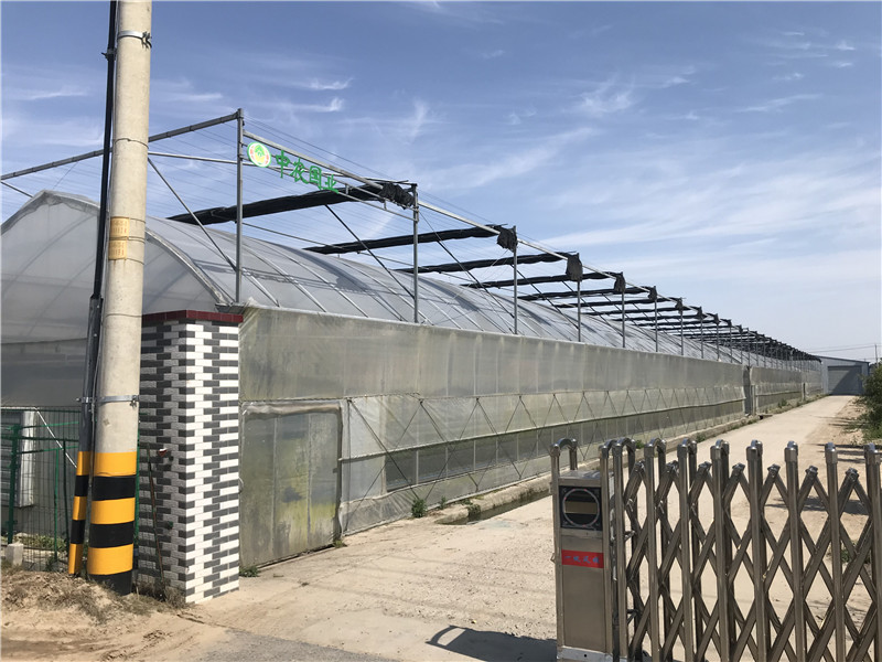 91视频APP在线观看基地