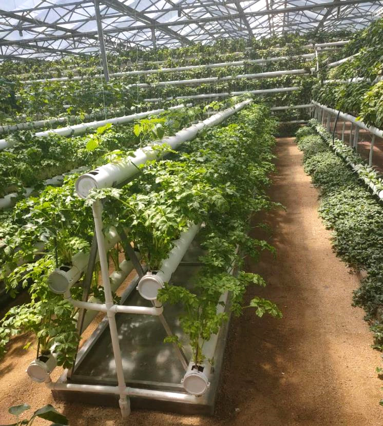 国产91视频网站地址案例